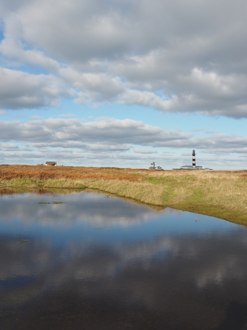 Gueguen paysage